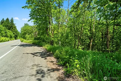 0 Lewisville Highway, Yacolt, WA 98675 - Photo 15