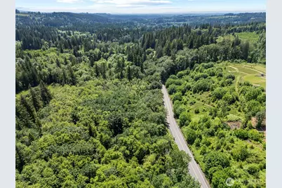 0 Lewisville Highway, Yacolt, WA 98675 - Photo 11