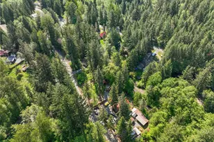 131 Nisqually Way, Ashford, WA 98304 - Photo 23