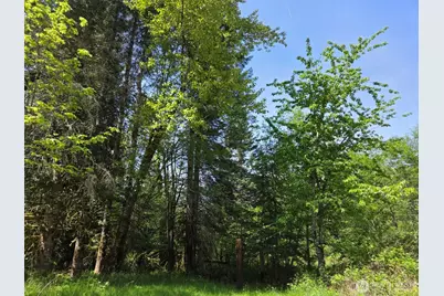 11697 US Hwy 12, Randle, WA 98377 - Photo 25