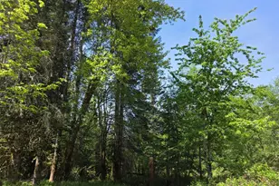 11697 US Hwy 12, Randle, WA 98377 - Photo 25