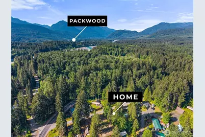 110 Mt Rainier Drive, Packwood, WA 98361 - Photo 3