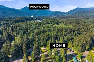 110 Mt Rainier Dr, Packwood, WA 98361 - Photo 3