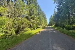 11409 & 11413 Hillcrest Dr, Anderson Island, WA 98303 - Photo 3
