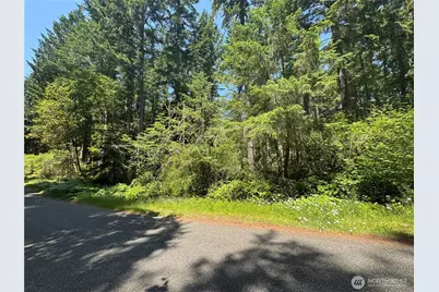 11409 & 11413 Hillcrest Drive, Anderson Island, WA 98303 - Photo 1