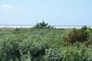 855 Ocean Shores Blvd NW, Ocean Shores, WA 98569 - Photo 3