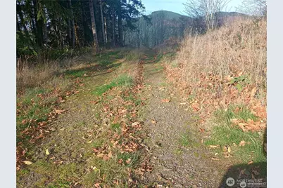 167 Wagner Road, Kelso, WA 98626 - Photo 5