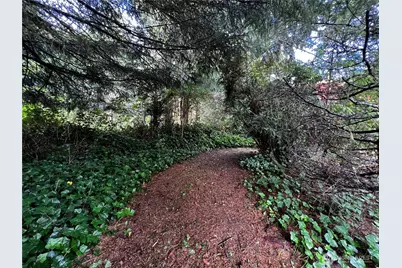 20503 Birch Place, Ocean Park, WA 98640 - Photo 35