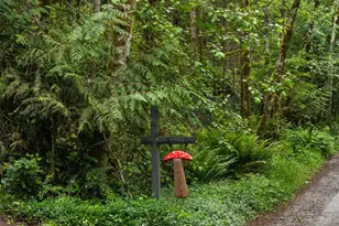 1093 NW Mushroom Ln, Poulsbo, WA 98370 - Photo 3