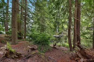 110 E Shannon Pl, Shelton, WA 98584 - Photo 29
