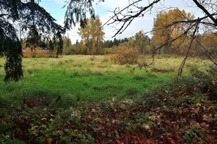 539 148th Street NE, Bellevue, WA 98007 - Photo 1