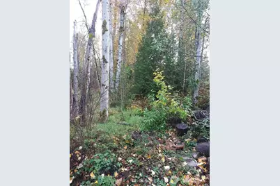 539 148th Street NE, Bellevue, WA 98007 - Photo 3