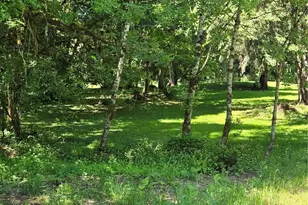147 Tara Ln, Vader, WA 98593 - Photo 37
