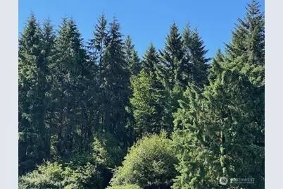 692 24 Burchett Road, Onalaska, WA 98570 - Photo 11