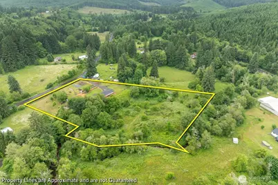 224 Brim Creek Road, Vader, WA 98593 - Photo 11