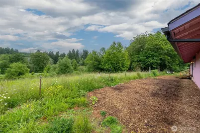 224 Brim Creek Road, Vader, WA 98593 - Photo 35