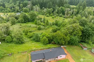 224 Brim Creek Rd, Vader, WA 98593 - Photo 37