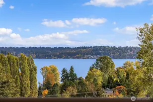 4411 NE 90th St, Seattle, WA 98115 - Photo 3