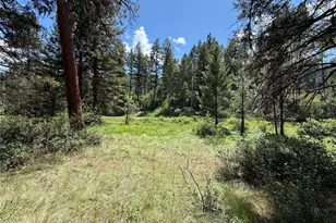 21 Pine Grove St, Republic, WA 99166 - Photo 1