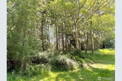 0 Old Cedar Lane, Oak Harbor, WA 98277 - Photo 1