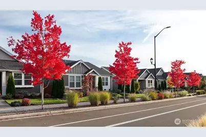 2937 Balsamroot Drive SE, Lacey, WA 98513 - Photo 11