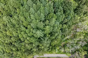 0 NE West Port Madison Rd, Bainbridge Island, WA 98110 - Photo 1