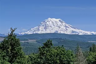 22109 161st Ave E, Graham, WA 98338 - Photo 3