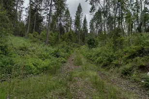 39 Leonard Ln, Curlew, WA 99118 - Photo 9