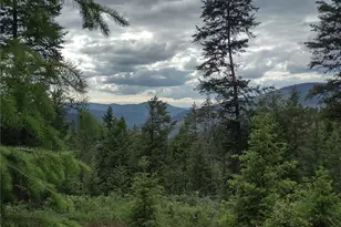 39 Leonard Ln, Curlew, WA 99118 - Photo 35