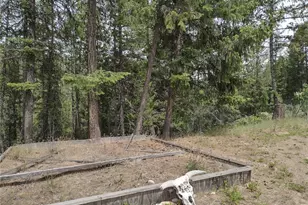 39 Leonard Ln, Curlew, WA 99118 - Photo 15