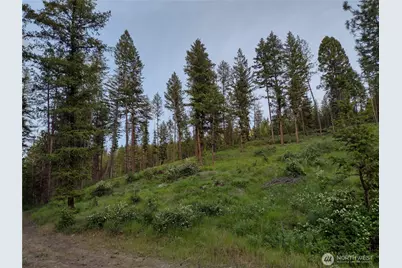 39 Leonard Lane, Curlew, WA 99118 - Photo 31