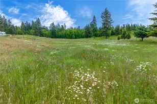15216 140th Ln SE, Yelm, WA 98597 - Photo 37
