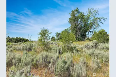 0 Lot 4 Freese Duck Lake Road, Omak, WA 98841 - Photo 15