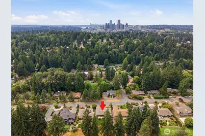 216 131st Avenue NE, Bellevue, WA 98005 - Photo 39