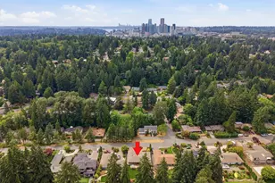 216 131st Ave NE, Bellevue, WA 98005 - Photo 39