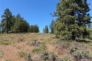 3054 W Sun East Rd, Ellensburg, WA 98926 - Photo 31