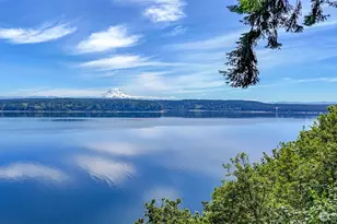 10125 Totem Way, Anderson Island, WA 98303 - Photo 37