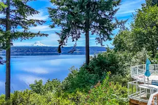 10125 Totem Way, Anderson Island, WA 98303 - Photo 3