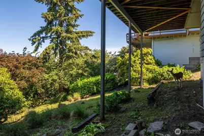 224 Forest Lane, Bellingham, WA 98225 - Photo 29