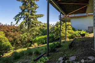 224 Forest Ln, Bellingham, WA 98225 - Photo 29