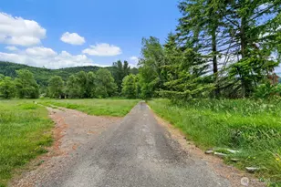 8178 US Hwy 12, Glenoma, WA 98336 - Photo 3