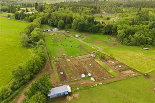 1381 Wynooche Valley Rd, Montesano, WA 98563 - Photo 37