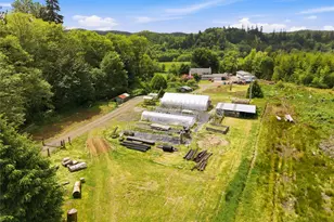 1381 Wynooche Valley Rd, Montesano, WA 98563 - Photo 3