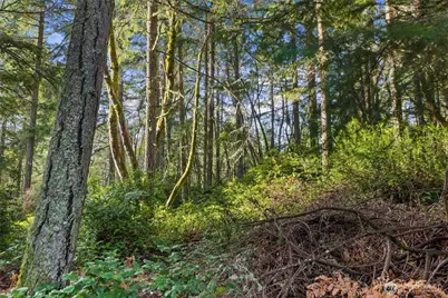 10510 Olympic Place, Anderson Island, WA 98303 - Photo 3