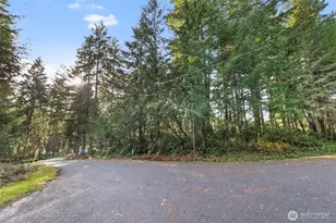 10510 Olympic Pl, Anderson Island, WA 98303 - Photo 1