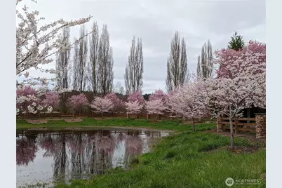 15652 NE 103rd Court #103, Redmond, WA 98052 - Photo 27