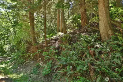 0 Xxx George Drive, Clinton, WA 98236 - Photo 3