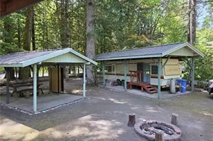 340 Appaloosa Dr, Brinnon, WA 98320 - Photo 17