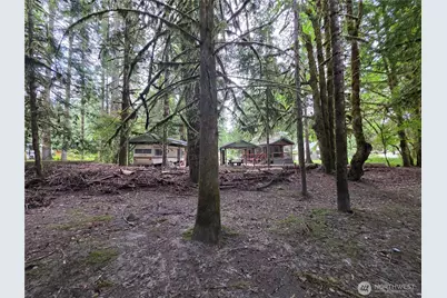 340 Appaloosa Drive, Brinnon, WA 98320 - Photo 33
