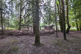 340 Appaloosa Dr, Brinnon, WA 98320 - Photo 33